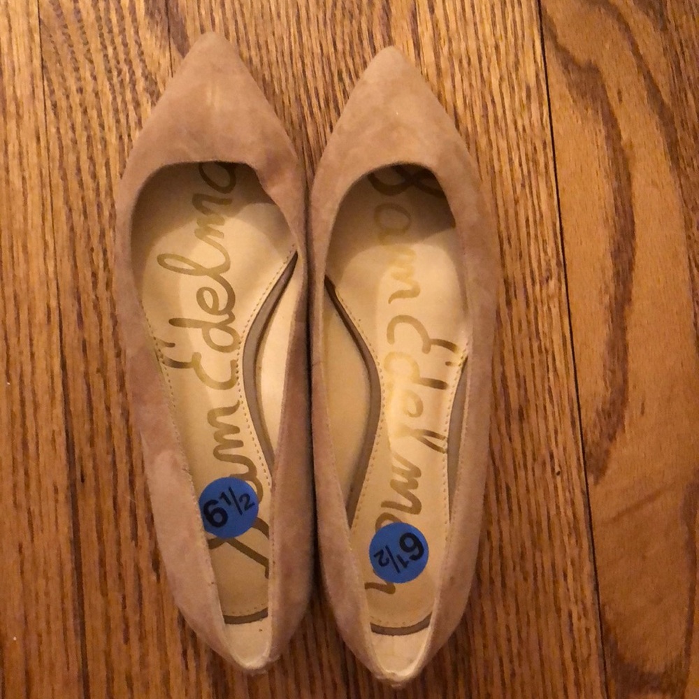 Sam Edelman Pointed Toe Flats